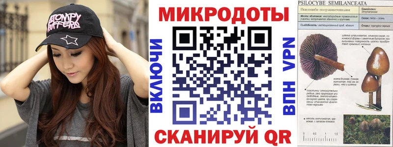 Галлюциногенные грибы Psilocybe  Купить где  Ельня 